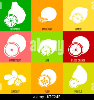 Agrumes hand drawn vector icône carré grand ensemble. Banque D'Images