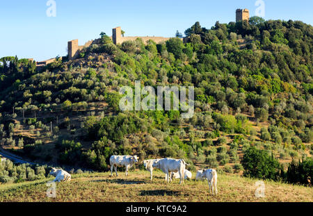 Monticchiello, Val D'Orcia, Toscane, Italie Banque D'Images