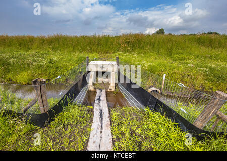 Passage Passage sous un ponceau carré avec passerelle pour les animaux sous une autoroute dans les Pays-Bas Banque D'Images