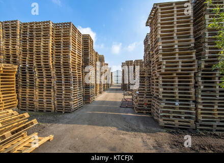 Zone d'affaires avec d'énormes piles de palettes de fret de type euro prêt pour le recyclage Banque D'Images