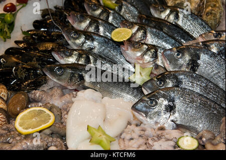 Le refroidissement des fruits de mer sur glace Banque D'Images