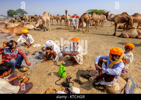 Négociants et à l'élevage de chameaux de Pushkar,Pushkar Fair, Rajasthan, Inde Banque D'Images