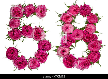 Chiffre arabe 58, cinquante huit, de fleurs de rose, rouge isolé sur fond blanc Banque D'Images