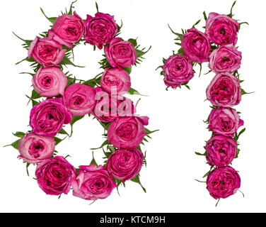 Chiffre arabe 81, quatre-vingt-un, de fleurs de rose, rouge isolé sur fond blanc Banque D'Images