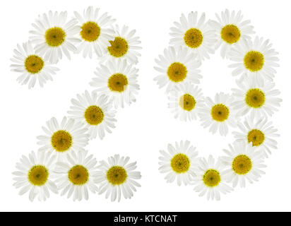 Chiffre arabe 29, vingt-neuf, à partir de fleurs blanches de camomille, isolé sur fond blanc Banque D'Images