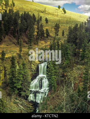 Heinz-günther Falls, parc national de Yellowstone, Mammoth, Wyoming, United States of America Banque D'Images