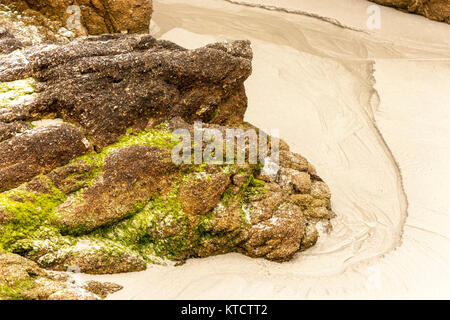 17-Mile Drive est une route pittoresque par plage de galets et de Pacific Grove sur la péninsule de Monterey en Californie, Banque D'Images