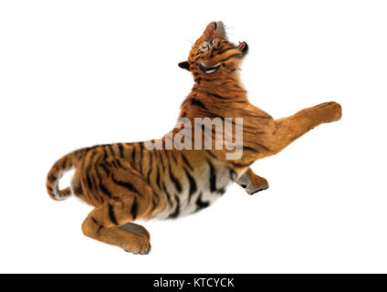 Le Rendu 3D Big Cat Tiger on White Banque D'Images