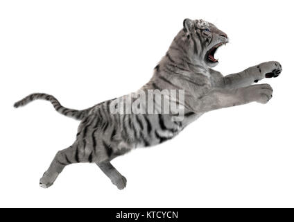Illustration 3D Tigre Blanc sur blanc Banque D'Images