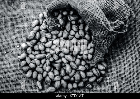 Matières Arachis hypogaea cacahuète,dans un sac de jute. Banque D'Images