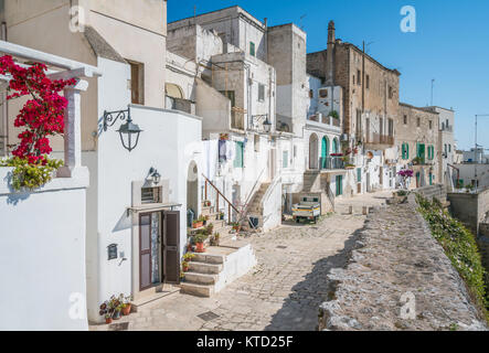 Vue panoramique à Monopoli, Province de Bari, Pouilles, Italie du sud. Banque D'Images