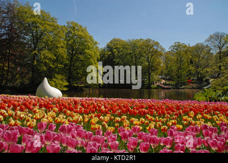 Lisse, Pays-Bas - 5 mai 2016 : tulipes colorées en face d'un lac dans le Keukenhof Banque D'Images