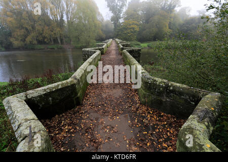 Misty sur Shugborough Hall, près de Great Haywood village, Staffordshire, England, UK Banque D'Images