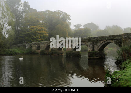 Misty sur Shugborough Hall, près de Great Haywood village, Staffordshire, England, UK Banque D'Images