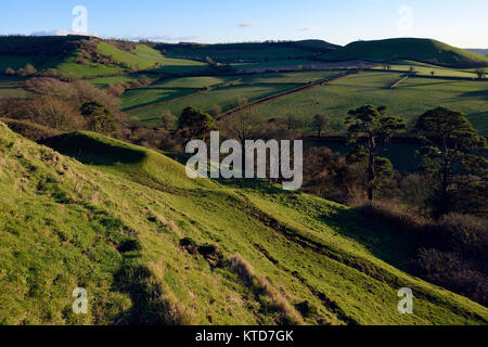 Soleil d'hiver faible sur les remparts de Cadbury Castle avec Corton Hill & Whitcombe au-delà Banque D'Images