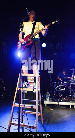 Le groupe de rock alternatif américain les présidents des États-Unis d'Amérique effectue un concert live à Vega à Copenhague. Ici le chanteur et guitariste Chris Ballew est vu sur scène. Le Danemark, 23/07 2014. Banque D'Images