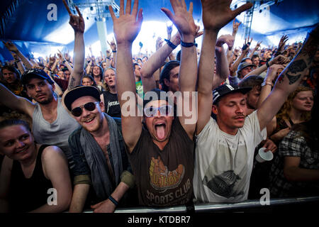 Concert des amateurs fréquentent l'un des nombreux concerts live au Danish music festival Festival de Roskilde 2015. Le Danemark, 02/07 2015. Banque D'Images