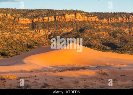 Dunes dans lumière du soir avec deux randonneurs dans Coral Pink Sand Dunes State Park, Utah, USA [aucun modèle de presse ; disponible pour les licences éditoriales uniquement] Banque D'Images