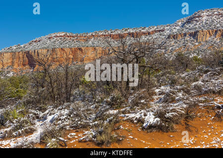 Après un paysage de dunes de neige de printemps à Coral Pink Sand Dunes State Park, Utah, USA Banque D'Images