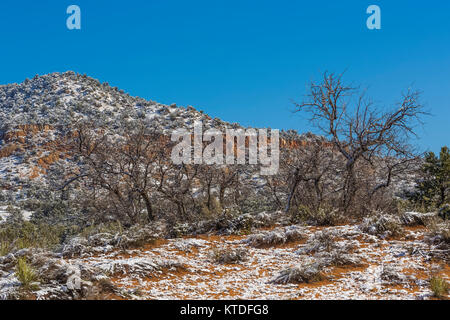 Après un paysage de dunes de neige de printemps à Coral Pink Sand Dunes State Park, Utah, USA Banque D'Images