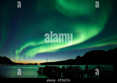 Aurora Borealis, Northern Lights sur Astafjorden, Ratangen, Troms, Norvège Banque D'Images