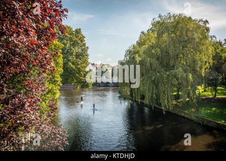 Allemagne, Hambourg, Eppendorf, Canal Isebek, Stand Up Paddle Surf Banque D'Images