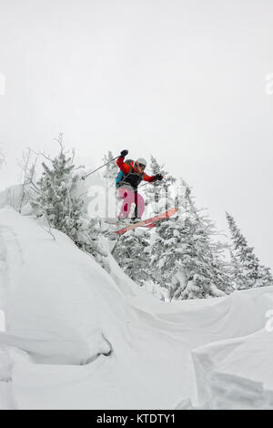 Freerider skieur sautant d'une rampe de neige au soleil sur un fond de forêt et montagnes. Banque D'Images