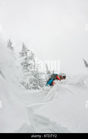 Freerider skieur sautant d'une rampe de neige au soleil sur un fond de forêt et montagnes. Banque D'Images