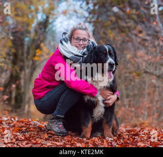 Bouvier Bernois chien labrador landseer Banque D'Images