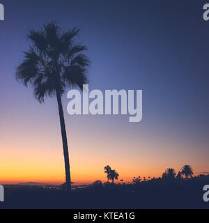 Belle vue d'un palmier isolé avec un ciel clair, coloré au coucher du soleil, Corona del Mar, Californie Banque D'Images