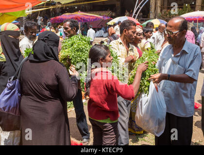 Indian girl la vente des herbes fraîches aux clients à Sri Krishna Rajendra Market à Bangalore, Bangalore, Karnataka, Inde, Asie. Banque D'Images