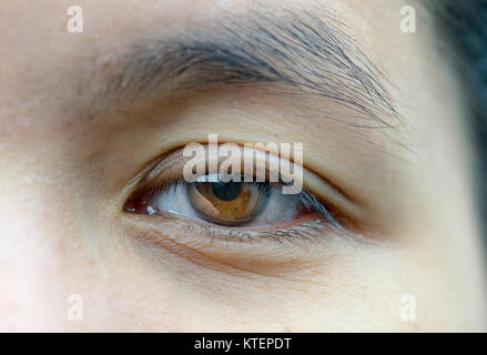 Macro shot of Asian femme d'âge moyen les yeux bruns avec les rides sous les yeux et montrant des veines dans les yeux. Problème de la paupière Besoin de chirurgie pour soulever Banque D'Images