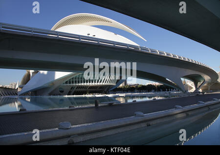 El Palau de les Arts Reina Sofia Ciudad de las Artes y las Ciencias.La Cité des Arts et des Sciences de Valence Espagne.par Santiago Calatrava Banque D'Images