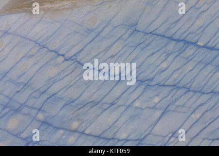 Close up de texture en granit bleu. Banque D'Images