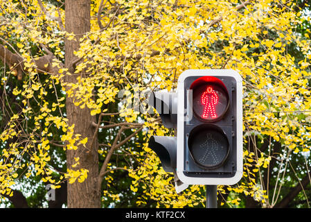 Feu rouge piétons contre feuilles jaunes en automne Banque D'Images