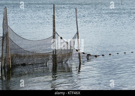 Dans la lagune d'Orbetello filets - Grosseto - Toscane, Italie Banque D'Images