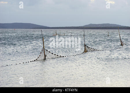 Dans la lagune d'Orbetello filets - Grosseto - Toscane, Italie Banque D'Images