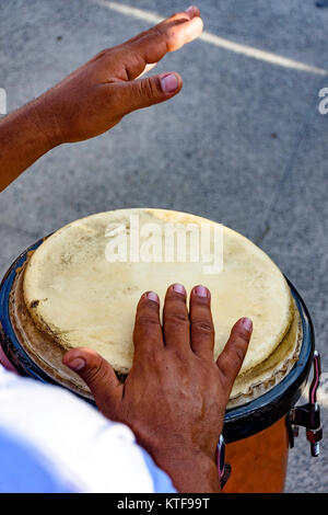 Joueur de tambour à l'atabaque lors de la présentation de la musique afro à la veille du carnaval brésilien Banque D'Images