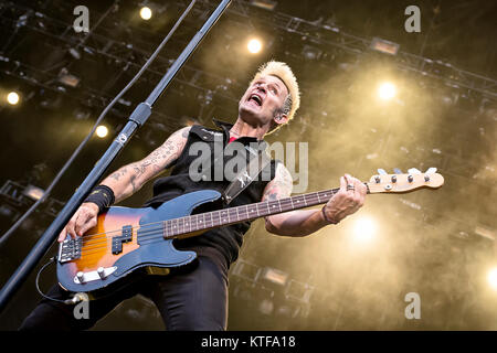 Le groupe punk rock américain Green Day effectue un concert live à l'Ullevaal Stadion d'Oslo ici Mike Dirnt musicien à la basse est vu sur scène. La Norvège, 30/06 2013. Banque D'Images