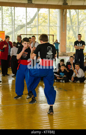 Lviv, Ukraine - avril 25,2015 : concurrents dans les arts martiaux à effectuer dans la salle de sport dans le parc de la ville de Lviv, Ukraine Banque D'Images