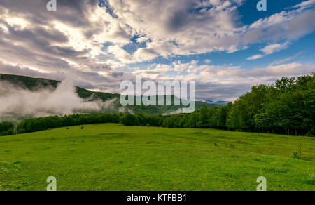 Le brouillard s'élever au-dessus de la forêt derrière la colline sur pré herbeux. belle nature printemps paysages de montagne Banque D'Images