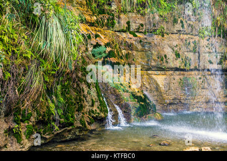 Oasis dans le désert. Réserve naturelle d'Ein Gedi. David cascade. Israël Banque D'Images