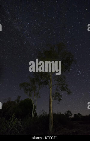 La photographie de nuit dans la zone naturelle de Granadilla. L'Estrémadure. L'Espagne. Banque D'Images