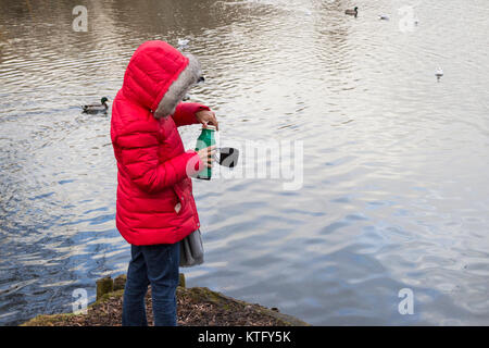 Rear view of woman wearing red coat avec ballon de plateau nourrir les canards et les cygnes sur le lac. UK Banque D'Images