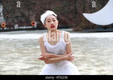 Luoyang, Luoyang, Chine. 26Th Dec 2017. Luoyang, Chine 23 décembre 2017 :(usage éditorial uniquement. Chine OUT) .huit danseurs du Ballet du Lac des cygnes effectuer sur la surface d'un lac gelé de Luoyang, province du Henan en Chine centrale, 23 décembre 2017. Crédit : SIPA Asie/ZUMA/Alamy Fil Live News Banque D'Images