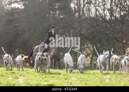 L'Albrighton et Woodland Hunt au Hagley Hall, Worcestershire, Boxing Day Hunt 2017 Banque D'Images