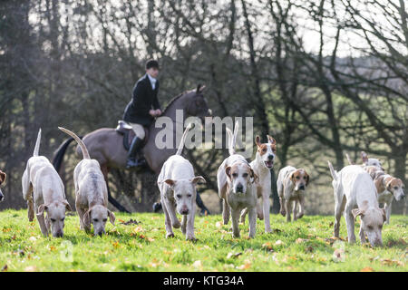 L'Albrighton et Woodland Hunt au Hagley Hall, Worcestershire, Boxing Day Hunt 2017 Banque D'Images