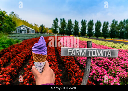 Farm Tomita dans Furano, Biei, Hokkaido, Japon Banque D'Images