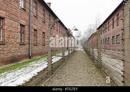 AUSCHWITZ, POLOGNE - décembre 2017 ; barrières du camp de concentration. Banque D'Images