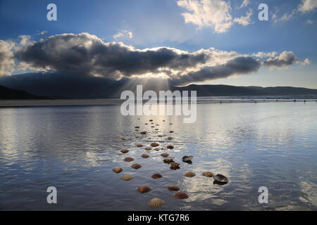 Des tremplins de coquillages dans le sable sur une plage à Kerry avec les rayons du soleil rayonnant sur la mer. Banque D'Images